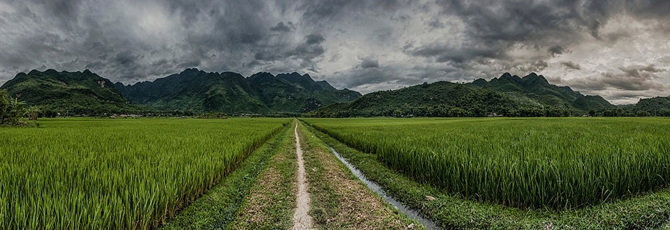 Ziua 63: Răcită, în Paradis